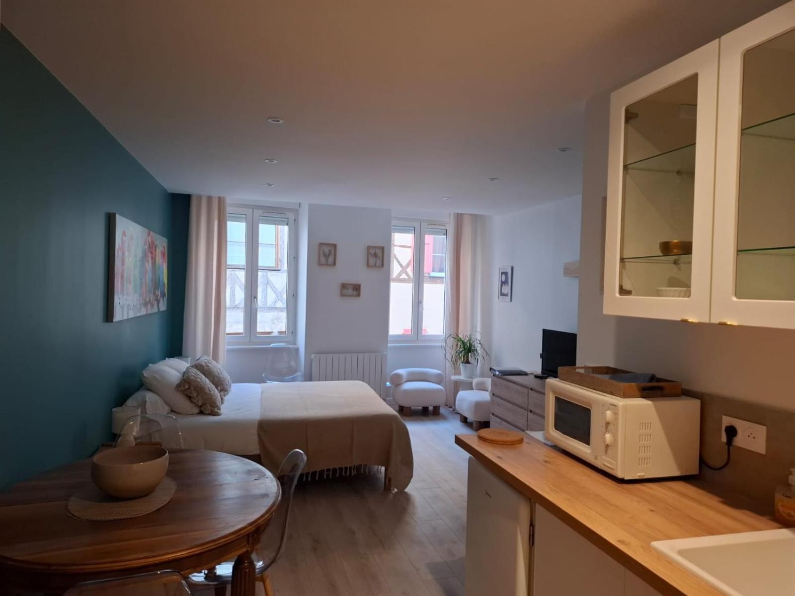 Studio Centre Macon Place Aux Herbes المظهر الخارجي الصورة